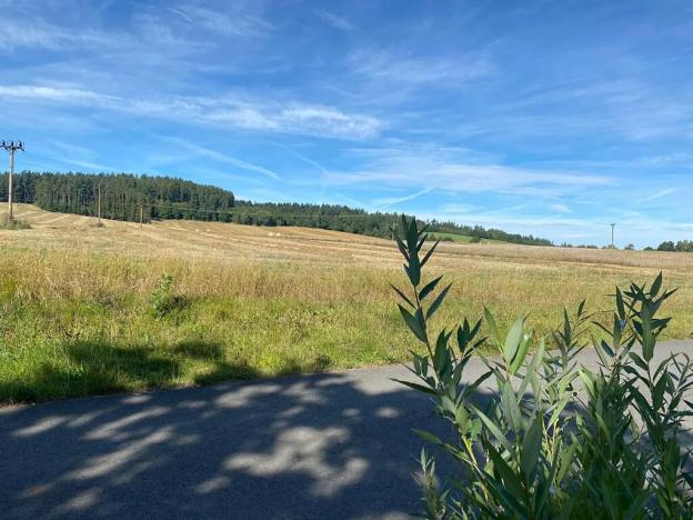 Prodej pozemku pro bydlení, Lnáře, 5991 m2