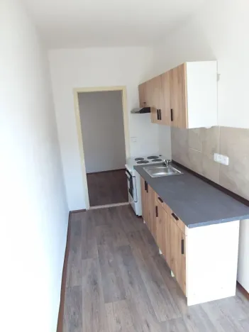 Prodej bytu 1+1, Ústí nad Labem, Jindřicha Plachty, 42 m2