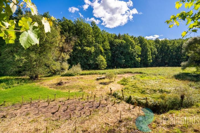 Prodej zemědělské usedlosti, Lhenice - Hrbov, 170 m2