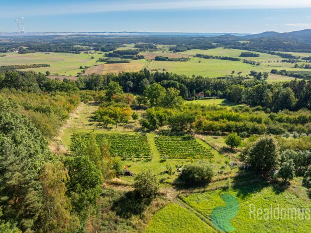 Prodej zemědělské usedlosti, Lhenice - Hrbov, 170 m2