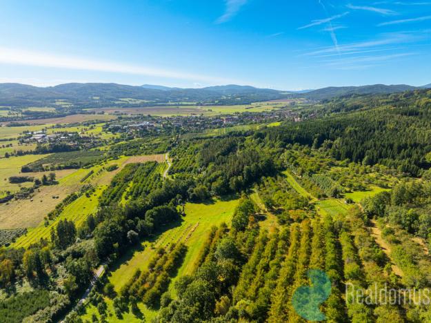 Prodej zemědělské usedlosti, Lhenice - Hrbov, 170 m2