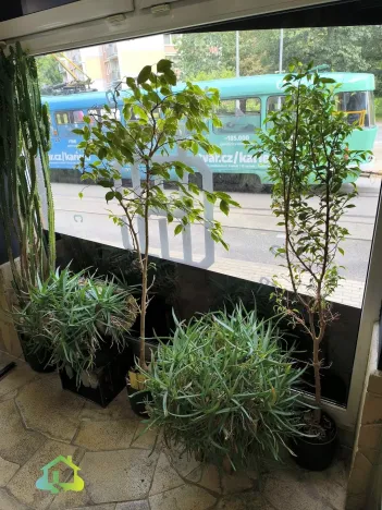 Pronájem obchodního prostoru, Liberec, Mlýnská, 82 m2