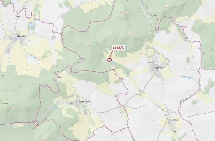 Dražba lesa, Černíkov, 198 m2