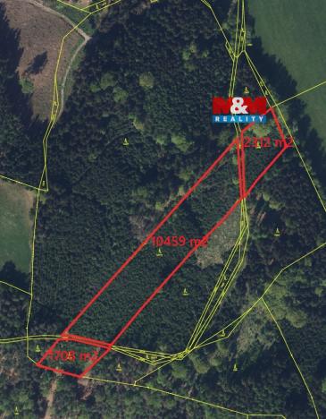 Prodej lesa, Velké Poříčí, 14479 m2