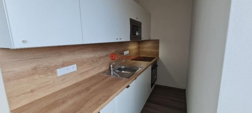 Pronájem bytu 1+kk, Kolín, 5. května, 33 m2