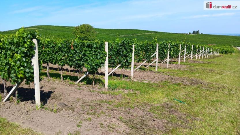 Prodej pole, Dolní Dunajovice, 20996 m2