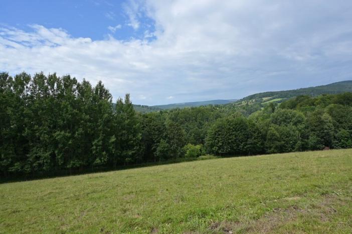 Prodej louky, Lánov - Horní Lánov, 45289 m2