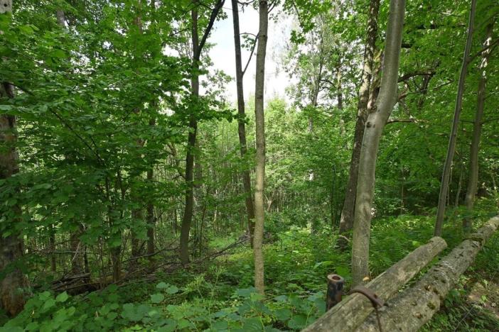 Prodej louky, Lánov - Horní Lánov, 45289 m2