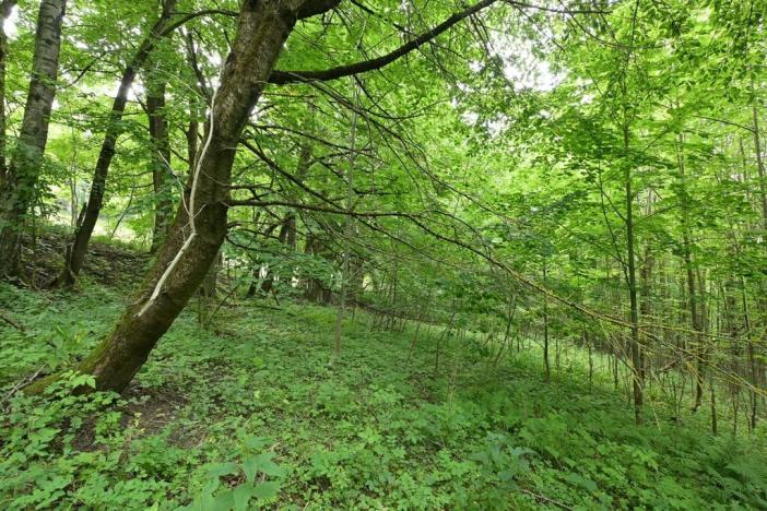 Prodej louky, Lánov - Horní Lánov, 45289 m2