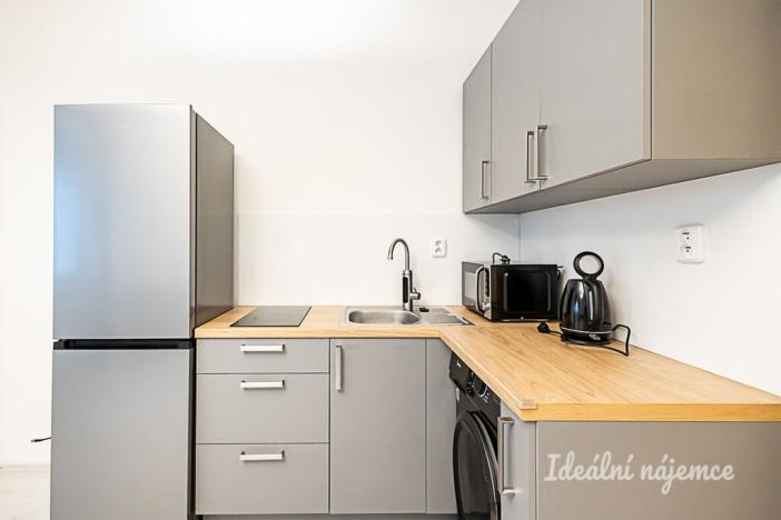Pronájem bytu 1+kk, Praha - Žižkov, Biskupcova, 27 m2