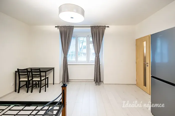 Pronájem bytu 1+kk, Praha - Žižkov, Biskupcova, 27 m2