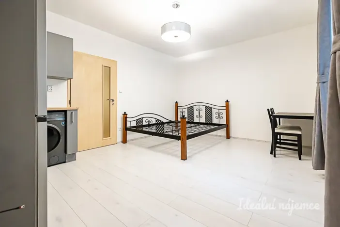 Pronájem bytu 1+kk, Praha - Žižkov, Biskupcova, 27 m2