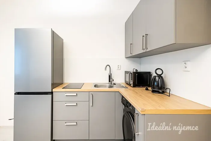 Pronájem bytu 1+kk, Praha - Žižkov, Biskupcova, 27 m2