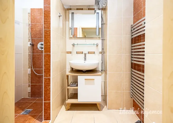 Pronájem bytu 1+kk, Praha - Žižkov, Biskupcova, 27 m2