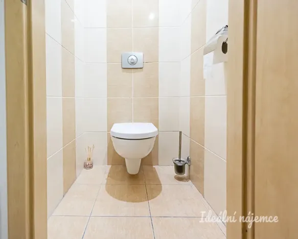 Pronájem bytu 1+kk, Praha - Žižkov, Biskupcova, 27 m2