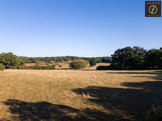 Prodej pozemku pro bydlení, Mirotice - Bořice, 10784 m2