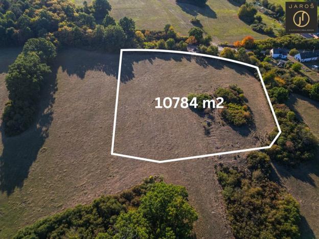 Prodej pozemku pro bydlení, Mirotice - Bořice, 10784 m2