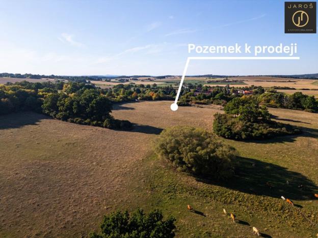 Prodej pozemku pro bydlení, Mirotice - Bořice, 10784 m2