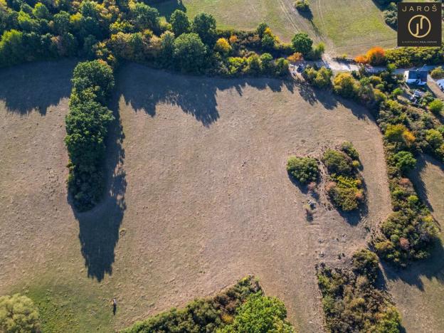 Prodej pozemku pro bydlení, Mirotice - Bořice, 10784 m2