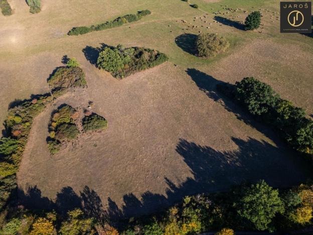Prodej pozemku pro bydlení, Mirotice - Bořice, 10784 m2