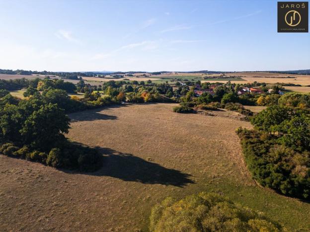 Prodej pozemku pro bydlení, Mirotice - Bořice, 10784 m2