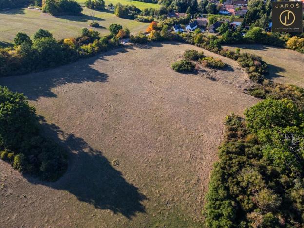 Prodej pozemku pro bydlení, Mirotice - Bořice, 10784 m2