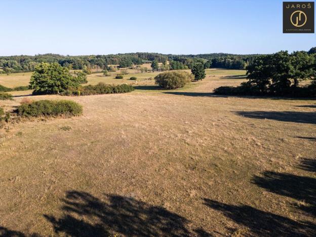 Prodej pozemku pro bydlení, Mirotice - Bořice, 10784 m2