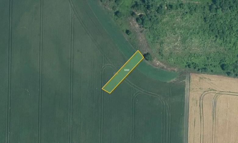 Prodej pole, Nenkovice, 3827 m2