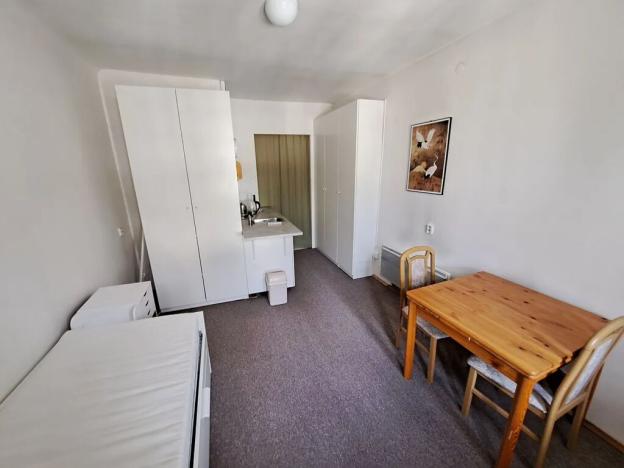 Pronájem bytu 1+kk, Brno, Dvořákova, 19 m2