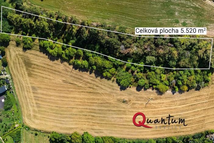 Prodej pozemku pro bydlení, Brandýsek, Nad Kovárnou, 16339 m2