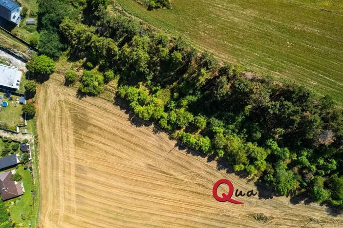 Prodej pozemku pro bydlení, Brandýsek, Nad Kovárnou, 16339 m2