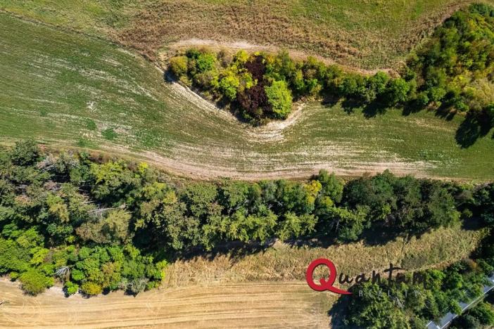 Prodej pozemku pro bydlení, Brandýsek, Nad Kovárnou, 16339 m2