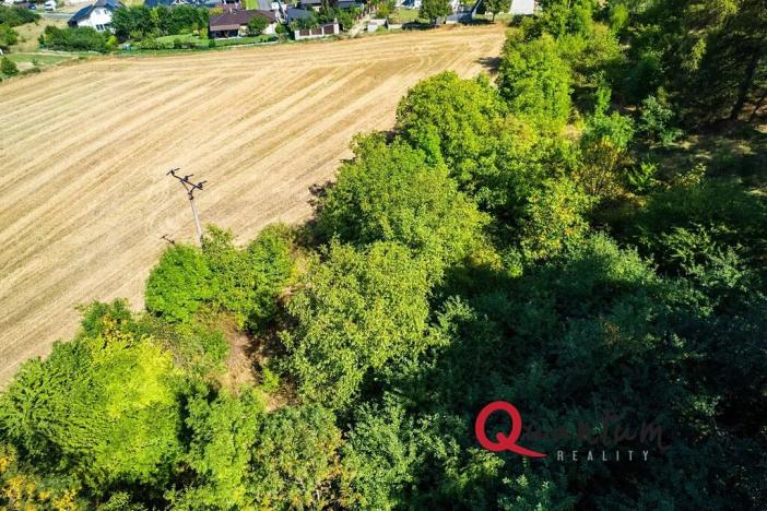 Prodej pozemku pro bydlení, Brandýsek, Nad Kovárnou, 16339 m2