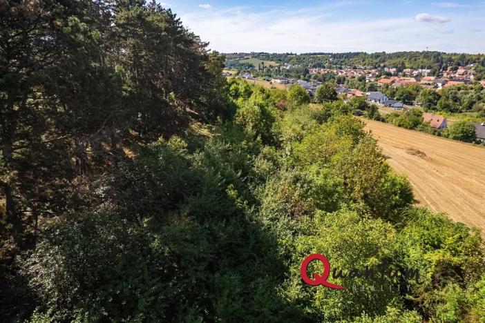 Prodej pozemku pro bydlení, Brandýsek, Nad Kovárnou, 16339 m2