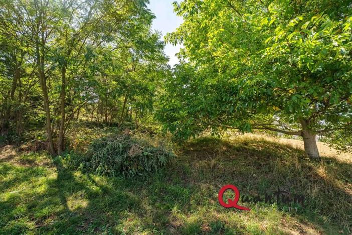 Prodej pozemku pro bydlení, Brandýsek, Nad Kovárnou, 16339 m2