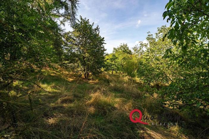 Prodej pozemku pro bydlení, Brandýsek, Nad Kovárnou, 16339 m2