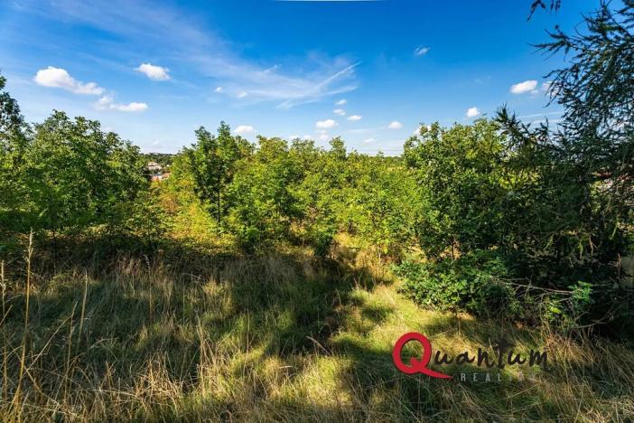 Prodej pozemku pro bydlení, Brandýsek, Nad Kovárnou, 16339 m2