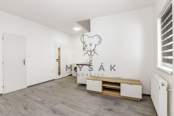 Prodej bytu 1+kk, Lišov, Žižkova, 26 m2