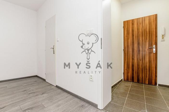 Prodej bytu 1+kk, Lišov, Žižkova, 26 m2