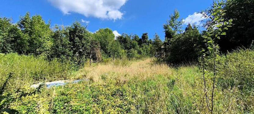 Prodej rodinného domu, Dalovice, U Hřbitova, 289 m2