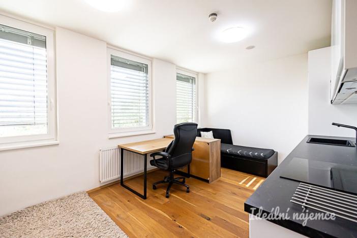 Pronájem bytu 1+kk, Praha - Vinohrady, Perucká, 26 m2