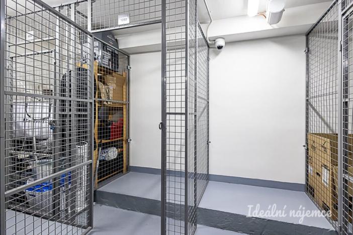 Pronájem bytu 1+kk, Praha - Vinohrady, Perucká, 26 m2