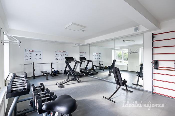 Pronájem bytu 1+kk, Praha - Vinohrady, Perucká, 26 m2