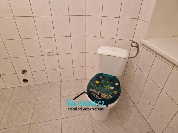 Pronájem výrobních prostor, Skaštice, 110 m2