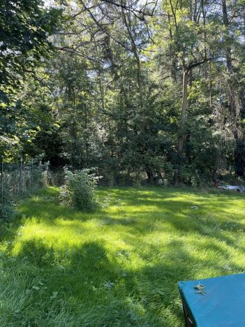 Prodej chalupy, Žalany - Černčice, 140 m2