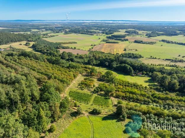 Prodej sadu/vinice, Lhenice, 8045 m2