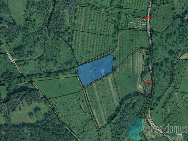 Prodej sadu/vinice, Lhenice, 8045 m2