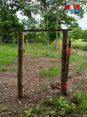 Prodej lesa, Hrazany - Klisinec, 9634 m2