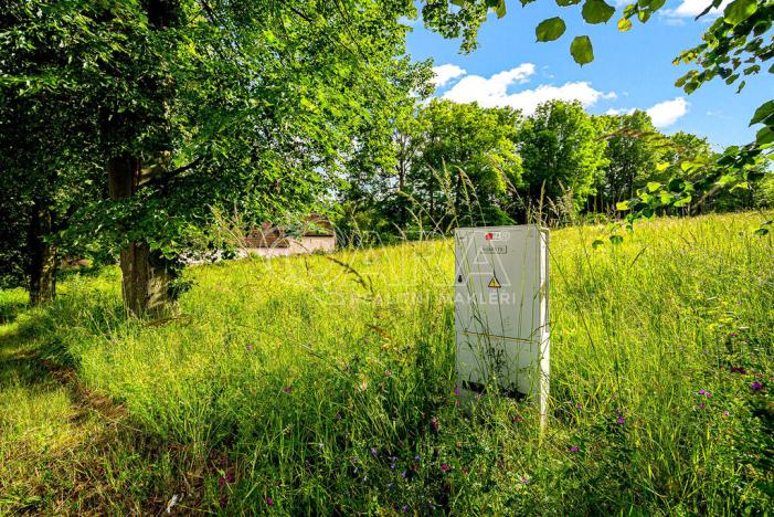 Prodej komerčního pozemku, Čestice, 4931 m2