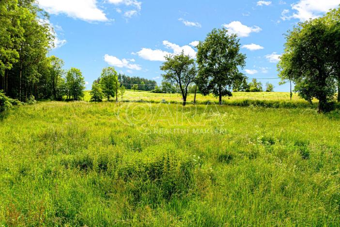 Prodej komerčního pozemku, Čestice, 4931 m2